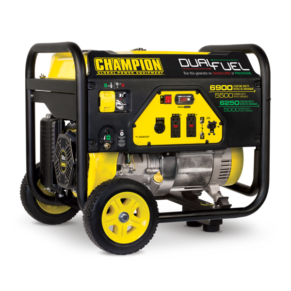 Champion 5500W Portable Generator, Dual Fuel- 100231