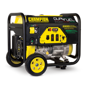Champion 5500W Portable Generator, Dual Fuel- 100231
