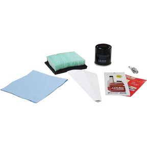 Maintenance Kit  for 410cc Engines - DS-5719